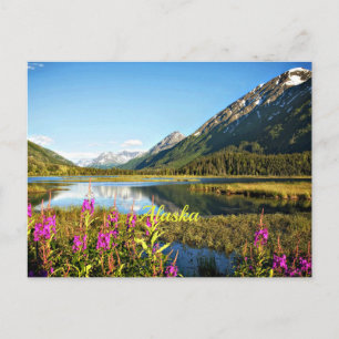 Carte Postale Photographie de paysage pittoresque d'Alaska