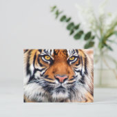 Carte Postale Photographie de Peinture de tigre de Sibérie (Debout devant)