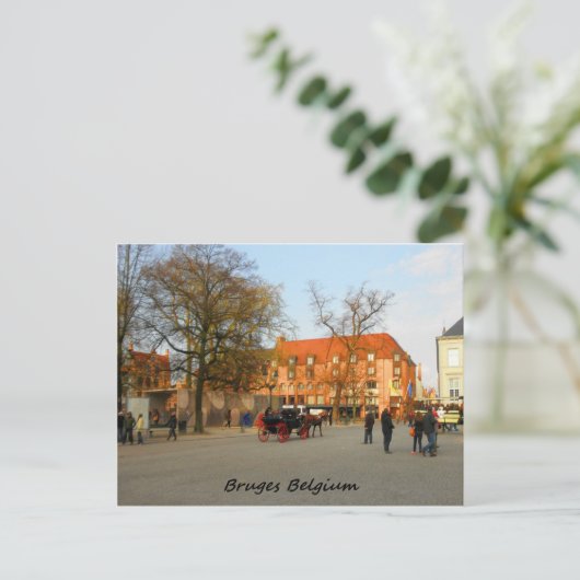 Carte Postale Photographie de promenade en buggy à Bruges (Debout devant)