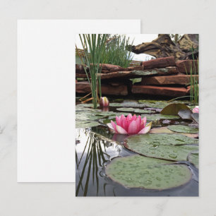 Carte Postale Photographie de reflets de nénuphars roses
