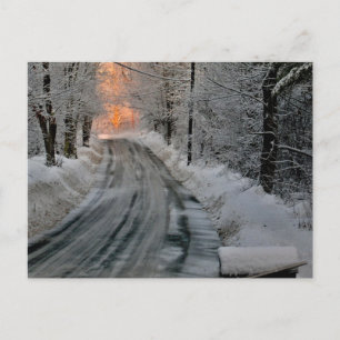 Carte Postale Photographie de soleil matinal d'hiver