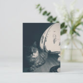 Carte Postale Photographie de style noir de chats et lampes (Debout devant)