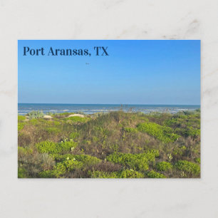 Carte Postale Photographie d'herbe de plage de Port Aransas Texa