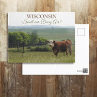 Photographie du Midwest | Belle vache et paysage