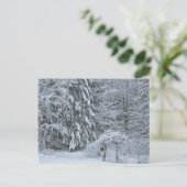 Carte Postale Photographie du paysage couvert de neige de la for (Debout devant)
