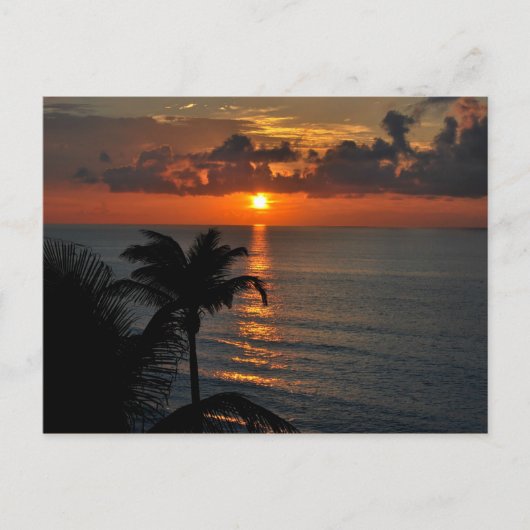 Carte Postale Photographie du paysage de Tropical Sunset (Cancun (Devant)