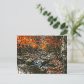 Carte Postale Photographie du paysage roumain (Debout devant)