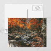 Carte Postale Photographie du paysage roumain (Devant / Derrière)