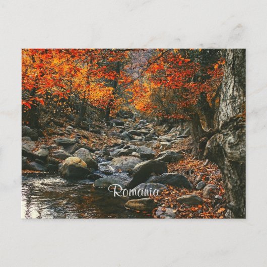 Carte Postale Photographie du paysage roumain (Devant)