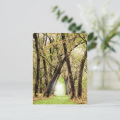 Carte Postale Photographie du "Portail" (Debout devant)