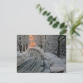 Carte Postale Photographie du soleil du matin d'hiver (Debout devant)