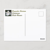 Carte Postale Photographie en fleurs de Magnolia blanc (Dos)