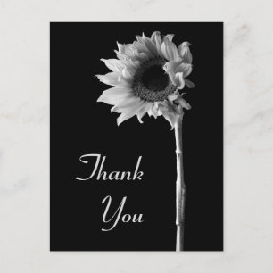 Carte Postale Photographie en noir et blanc de tournesol Merci
