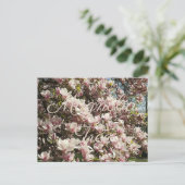 Carte Postale Photographie florale de l'arbre rose en fleurs Mag (Debout devant)