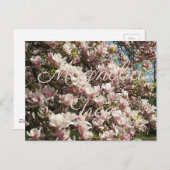 Carte Postale Photographie florale de l'arbre rose en fleurs Mag (Devant / Derrière)