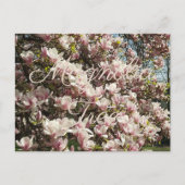 Carte Postale Photographie florale de l'arbre rose en fleurs Mag (Devant)