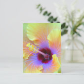 Carte Postale Photographie hybiscus fascinante (Debout devant)