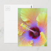 Carte Postale Photographie hybiscus fascinante (Devant / Derrière)