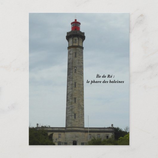 Carte Postale Photographie Île de Ré, France - (Devant)