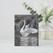 Carte Postale Photographie noir et blanc cygne (Debout devant)