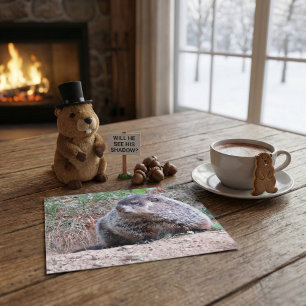Carte Postale Photographie réaliste d'un marmotte assise près de