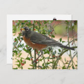 Carte Postale Photographies : oiseaux - (Devant / Derrière)