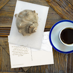 Carte postale photographique de coquille de Buccin