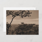 Carte postale photographique de paysage monochrome (Devant / Derrière)