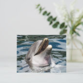 CARTE POSTALE PHOTOGRAPHIQUE DOLPHIN (Debout devant)