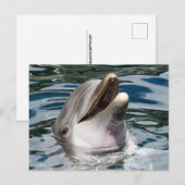 CARTE POSTALE PHOTOGRAPHIQUE DOLPHIN (Devant / Derrière)