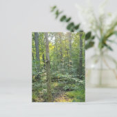 Carte postale photographique du sentier de Summer (Debout devant)