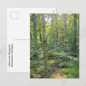 Carte postale photographique du sentier de Summer (Devant / Derrière)