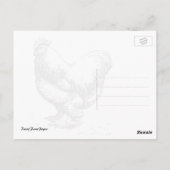 Carte postale photographique d'un coq de basse-cou (Dos)