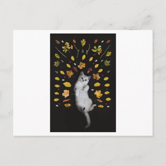 CARTE POSTALE PHOTOGRAPHIQUE FEUILLE (Devant)