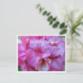 Carte Postale Photos de Geranium Pretty Pink (Debout devant)