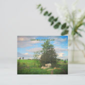 Carte Postale Photos des salutations d'Irlande (Debout devant)