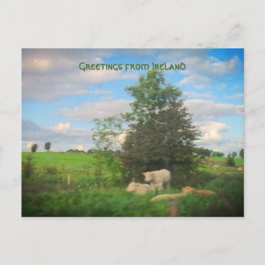 Carte Postale Photos des salutations d'Irlande (Devant)