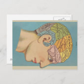 Carte Postale Phrenologie (Devant / Derrière)