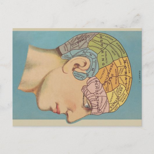 Carte Postale Phrenologie (Devant)