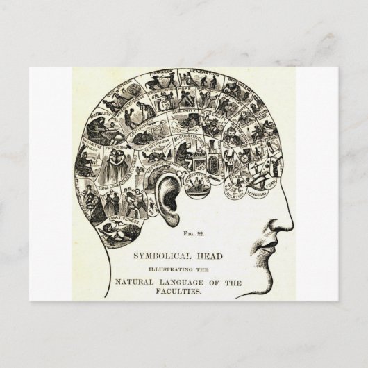 Carte Postale Phrenologie (Devant)