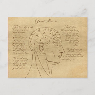 Carte Postale Phrenology Diagram