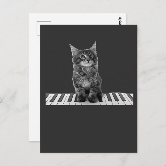 Carte Postale Piano chat chatte Pianiste Lecteur Clavier (Devant / Derrière)