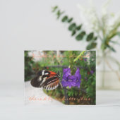 Carte postale Piano Papillon / Devis (Debout devant)