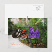 Carte postale Piano Papillon / Devis (Devant / Derrière)