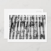 Carte Postale Pianoché (Devant / Derrière)