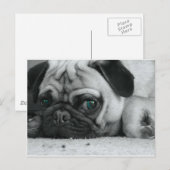 Carte Postale pic (Devant / Derrière)