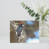 Carte Postale Pic de maïs (Debout devant)