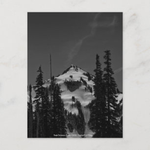 Carte Postale Pic entre les arbres