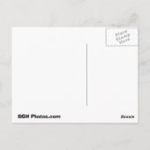 Carte Postale pic long, pic long (Dos)