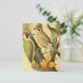 Carte Postale Pic vert vintage (Debout devant)